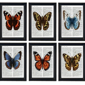 Dictionary Prints, Set of Butterfly Prints, Butterfly Prints, Butterfly Theme, Butterfly Gallery Wall,