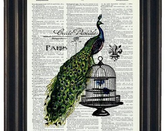 PEACOCK Art Print French Post Card Peacock and Bird Cage Upcycled Art Print Vintage Dictionary Wall Art Print Peacock Print