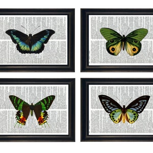 Dictionary Prints, Butterfly Prints, Butterfly Art Prints, Set of 4 Butterfly Prints, Butterfly Dictionary Prints, Set of 4 Butterfly Prints