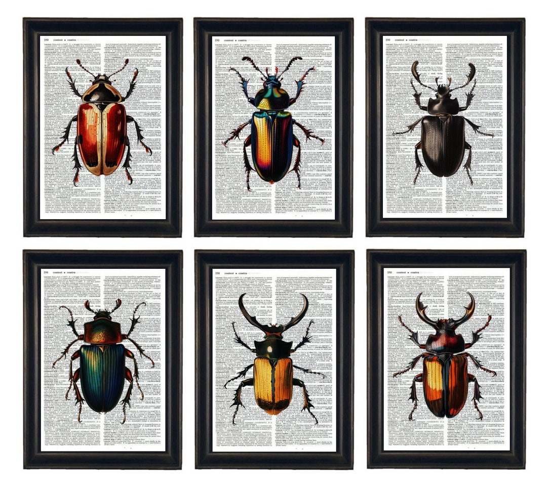 Dictionary Prints, Insects Prints, Insects Theme, Beetle Prints, Beetle ...
