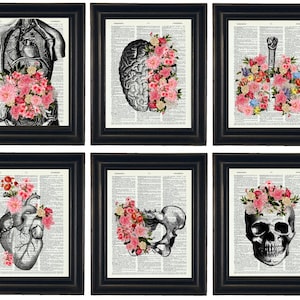 Anatomy Art, Anatomy Illustration with Flowers Set of Six A HHP Original Design Anatomy Art Dictionary Prints Anatomy Print Set, Heart Art
