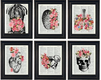 Anatomy Art, Anatomy Illustration with Flowers Set of Six A HHP Original Design Anatomy Art Dictionary Prints Anatomy Print Set, Heart Art