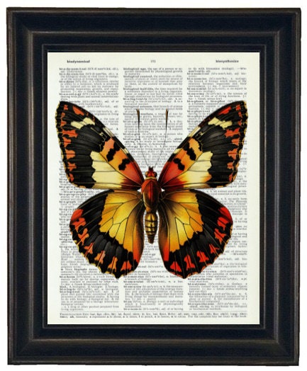 Insect Art Prints, Insect Dictionary Prints, Insect Prints, Set of 6 ...