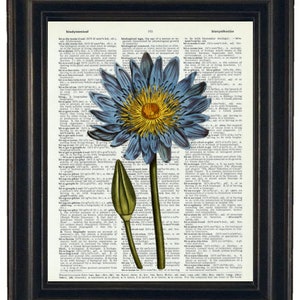 Blue Flower Print, Blue Botanical Art, Blue Flower Wall Art, Dictionary Print