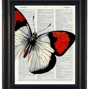 Butterfly Art Print Butterfly Dictionary Art Print Book Page Butterfly 8 x 10 Upcycle Wall Art Vintage Dictionary image 1