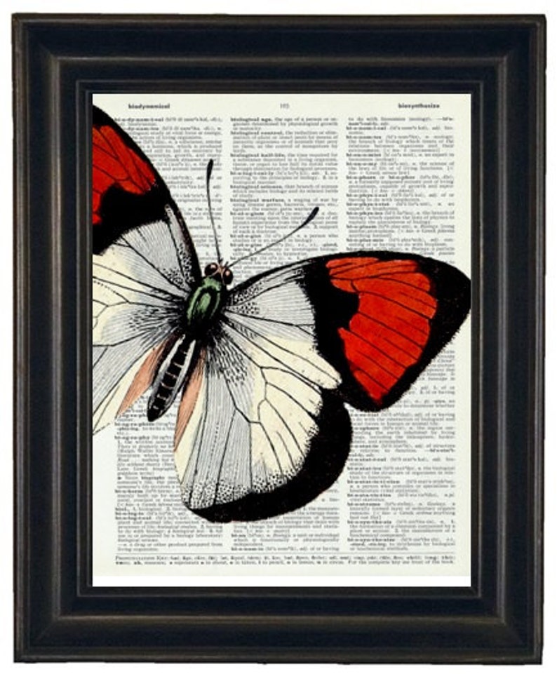 Butterfly Art Print Butterfly Dictionary Art Print Book Page Butterfly 8 x 10 Upcycle Wall Art Vintage Dictionary image 1