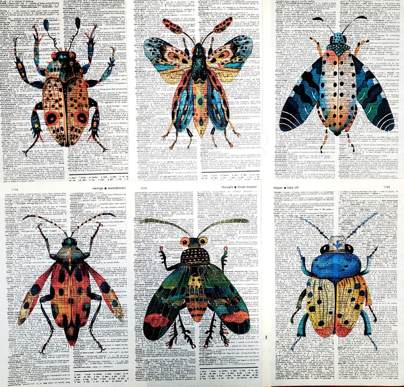 Dictionary Prints, Set of Bug Prints, Bug Prints, Botanical Prints, Set ...