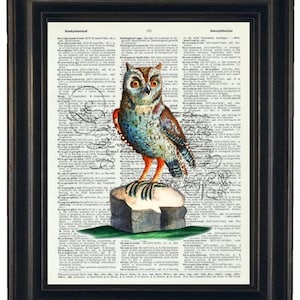 Dictionary Art Print Wall Decor Bathroom Print on Dictionary Page Owl Book Print