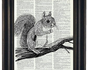 Squirrel Art Print, Squirrel Print, Squirrel Dictionary Prints, Squirrel Art, Squirrel Wall Print, Nursery Wall Art