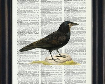 Raven Art Print, Crow Prints, Raven Art, Raven Art Prints, Black Bird Prints, Raven Wall Art