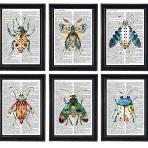 May include: Set of six framed prints featuring colorful, detailed illustrations of insects on a vintage dictionary page background.