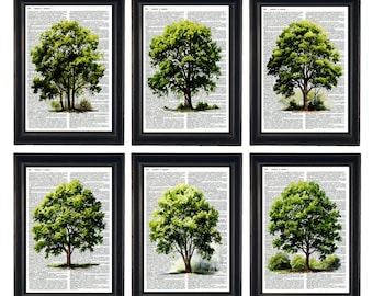Dictionary Prints, Tree Prints, Prints Tree Art, Dictionary Artwork, Botanical Prints, Set of 6 Botanical Prints, Tree Wall Art,