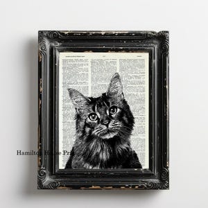 Cat Print Art Upcycled Art Book Print of Cat on Vintage Dictionary Book Page 8 x 10
