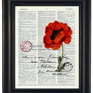 Botanical Prints, Botanical Art, Red-Orange Flower and Post Card French Upcycled Art Print on Vintage Dictionary Book Page