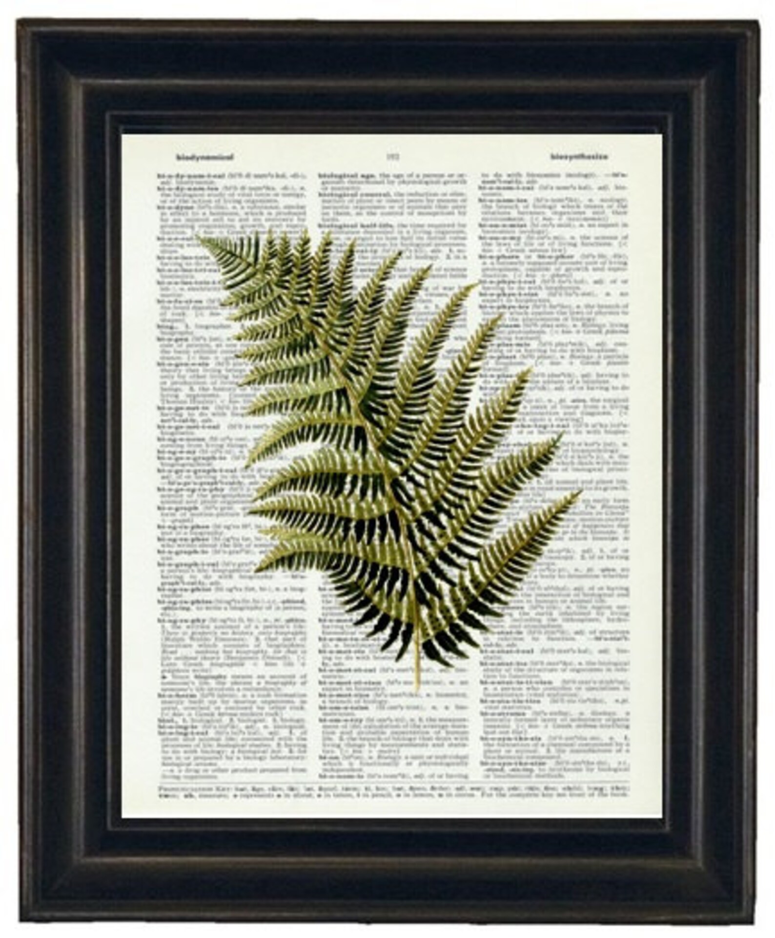 Botanical Wall Art Dictinary Prints Tropical Wall Art Leaf Etsy Botanical Wall Art Dictinary Prints Tropical Wall Art Leaf Etsy