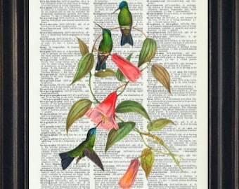 Hummingbird Print, Hummingbird Wall Art, Hummingbird Art Print, Hummingbird Gift, Bird Art Prints, Bird Wall Art