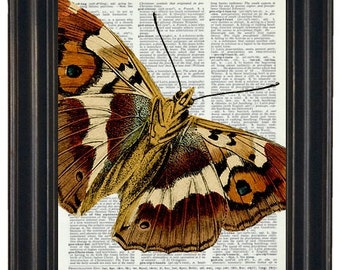 Upcycle Dictionary Art Book Page Print Dictionary Print Wall Art 8 x 10