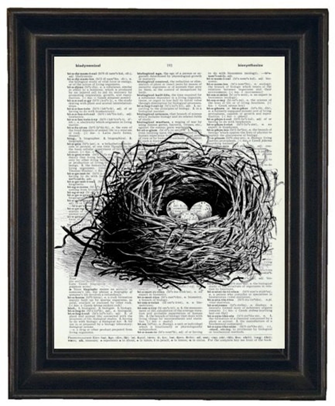 Bird Nest Dictionary Art Book Page Print 8 X 10 Upcycled Wall Art