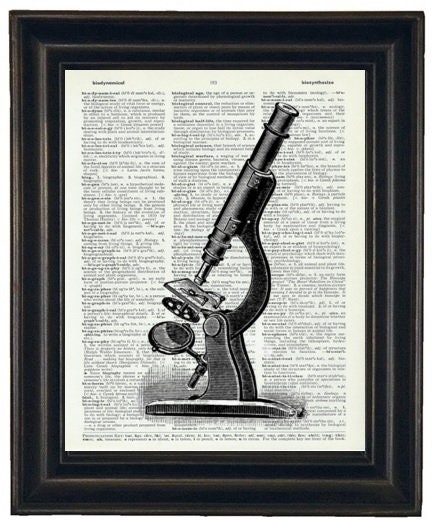 Microscope Illustration Set of Four A Prints, Microscope Art Dictionary ...