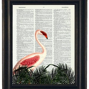 Tropical Wall Art A Hamilton House Print Original Flamingo Wall Art Dictionary Prints Flamingo Dictionary Prints Tropical Dictionary Art