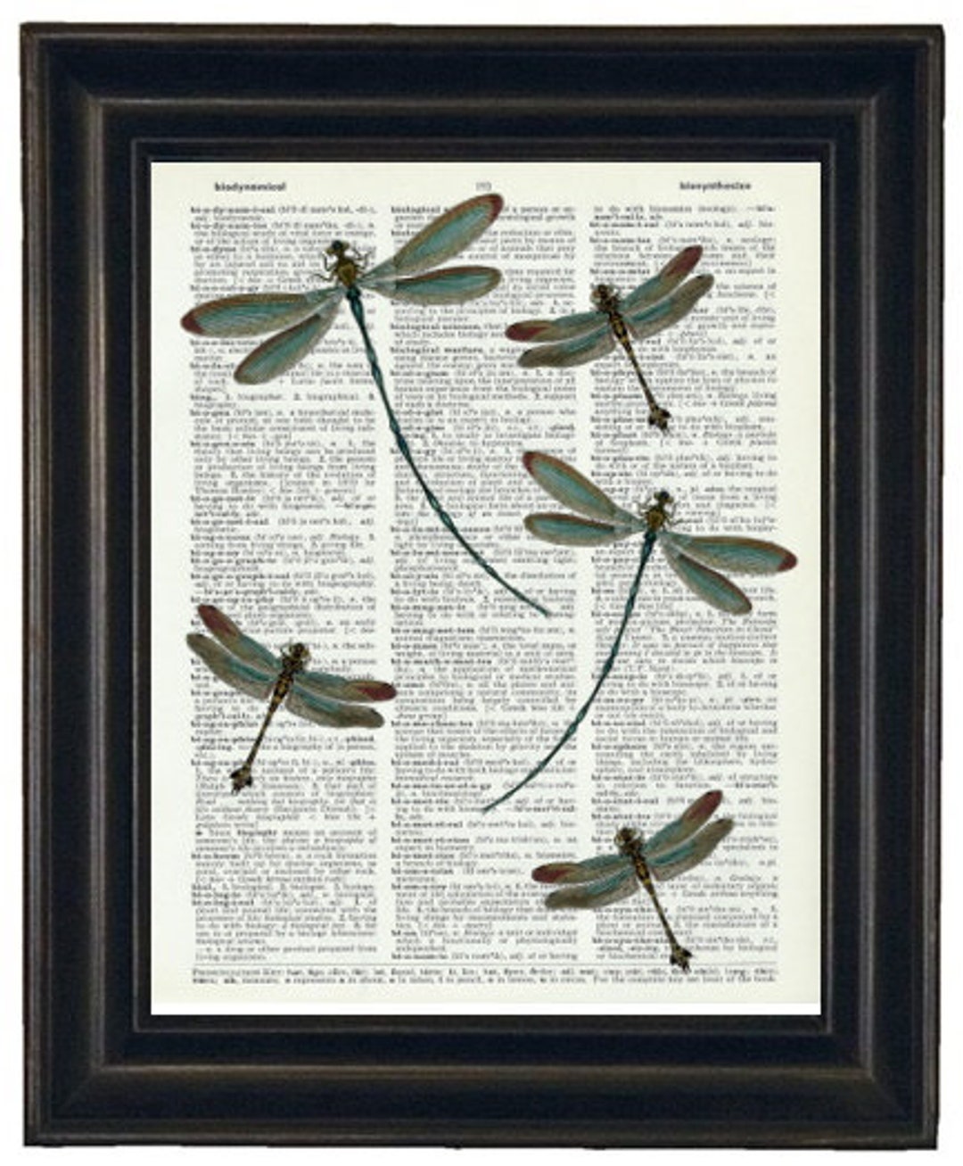 Dragonfly Prints, Dictionary Art Print, Dragonflies Dictionary Print ...