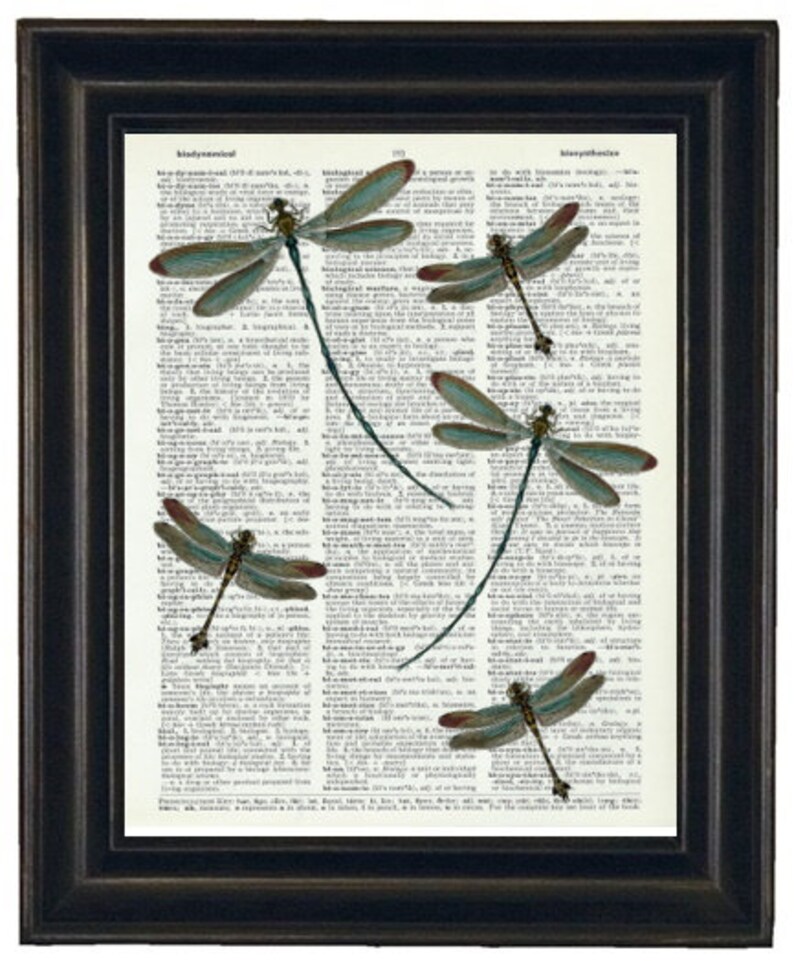 Dragonfly Prints, Dictionary Art Print, Dragonflies Dictionary Print ...