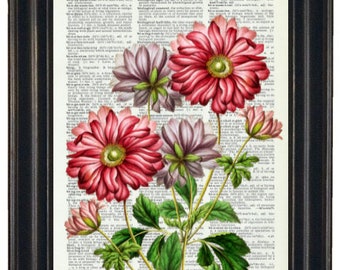 Flower Print, Flower Wall Art, Flower Dictionary Print, Flower
