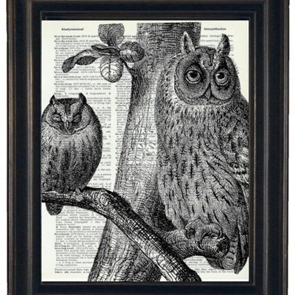 Owl Art, Owl Print, Dictionary Art Print Owl Art Print Owl Dictionary Art Print Vintage Dictionary Book Page Print Upcycled