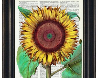 Flower Prints, Sunflower Print, Sunflower Art Prints, Dictionary Prints, Dictionary Arts, Flower Theme, Sunflower Theme
