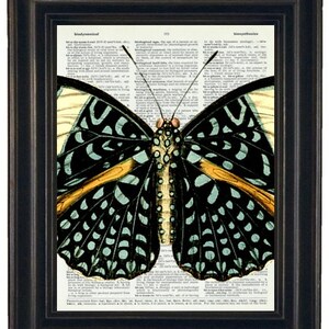 Butterfly Prints, Butterfly Art, Dictionary Art Prints, Dictionary Art