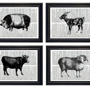 Farmhouse Themed Prints, Farmhouse Art Prints, Set of Four Farm Prints, Farm Dictionary Artwork, Farm Animals Prints