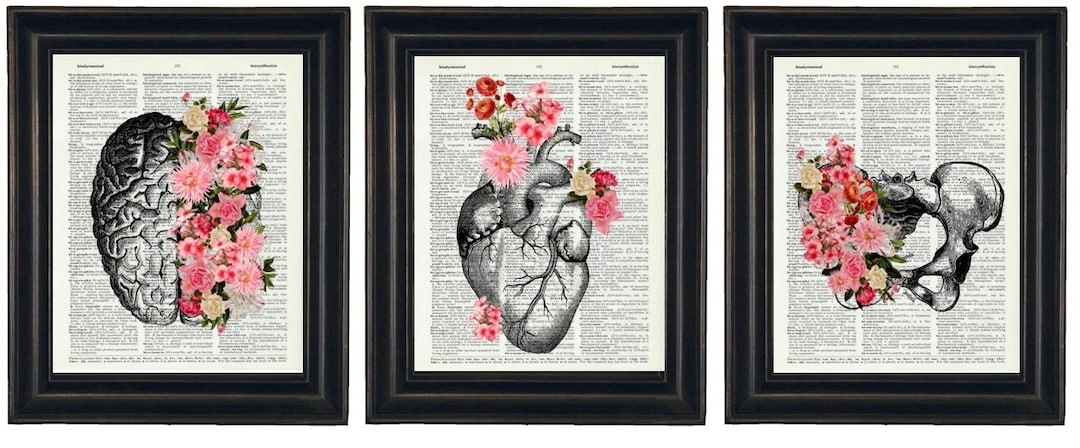 Anatomy Art with Flowers Set of Three A HHP Original Design - Etsy.de