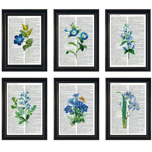 Dictionary Prints, Set of Blue Flower Prints, Blue Flower Prints, Dictionary Artwork, Blue Flower Blue Botanical Prints, Blue Botanical Art