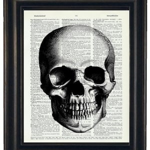 Anatomy Wall Art Prints Dictionary Art Prints Body Wall Art Prints Skull Art Prints