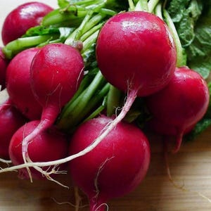 Cherry Belle Radish Seeds, NON-GMO, Fast Harvest, Variety Sizes