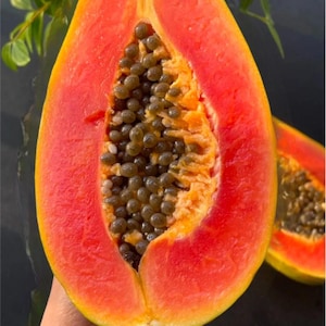 May include: A halved papaya, showcasing vibrant colors and textures. The outer skin is a bright yellow-orange, transitioning to a deep red flesh. The center reveals a cluster of dark, round seeds. The fruit is a tropical treat.