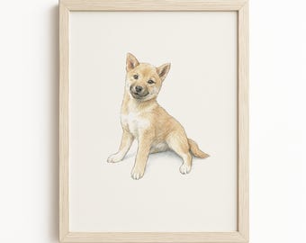 Personalised Dog and Cat Coloured Pencil Sketch, Custom Pet Portrait from Photo, Hand Drawn Pet Art, Pet Lover Gift, Dog Cat Drawing Print