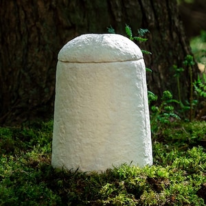 Puede incluir: Una urna blanca texturizada con tapa redondeada, situada entre musgo verde y árboles en un entorno forestal. La urna tiene forma cilíndrica y una superficie ligeramente rugosa. El fondo está borroso.