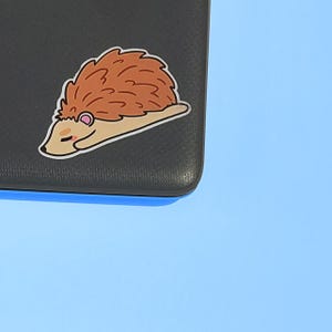 Niedliche Igel Set von 5 Größen Kawaii Tier Glanz Vinyl Notebook Laptop Aufkleber