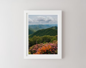 Blue Ridge Parkway Blumen, Blue Ridge Mountains Druck, Landschaftsfotografie, Bergwandkunst, North Carolina Fotografie