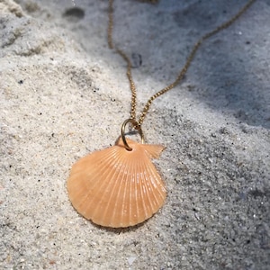 Gold stainless steel shell pendant necklace