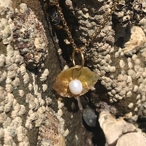 Gold stainless steel shell pendant necklace