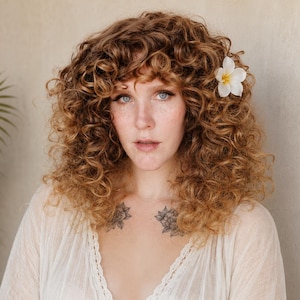 Curly Brown Wig · Warm Caramel Sunkissed Blonde Glueless Unit with Bangs · Wild Filly