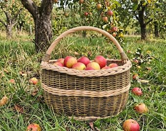 May include: A round, woven wicker basket with a sturdy arched handle, filled with numerous fresh, red and yellow apples. The basket features a natural light-coloured rim and a darker, textured body, sitting amidst scattered apples on the grass.