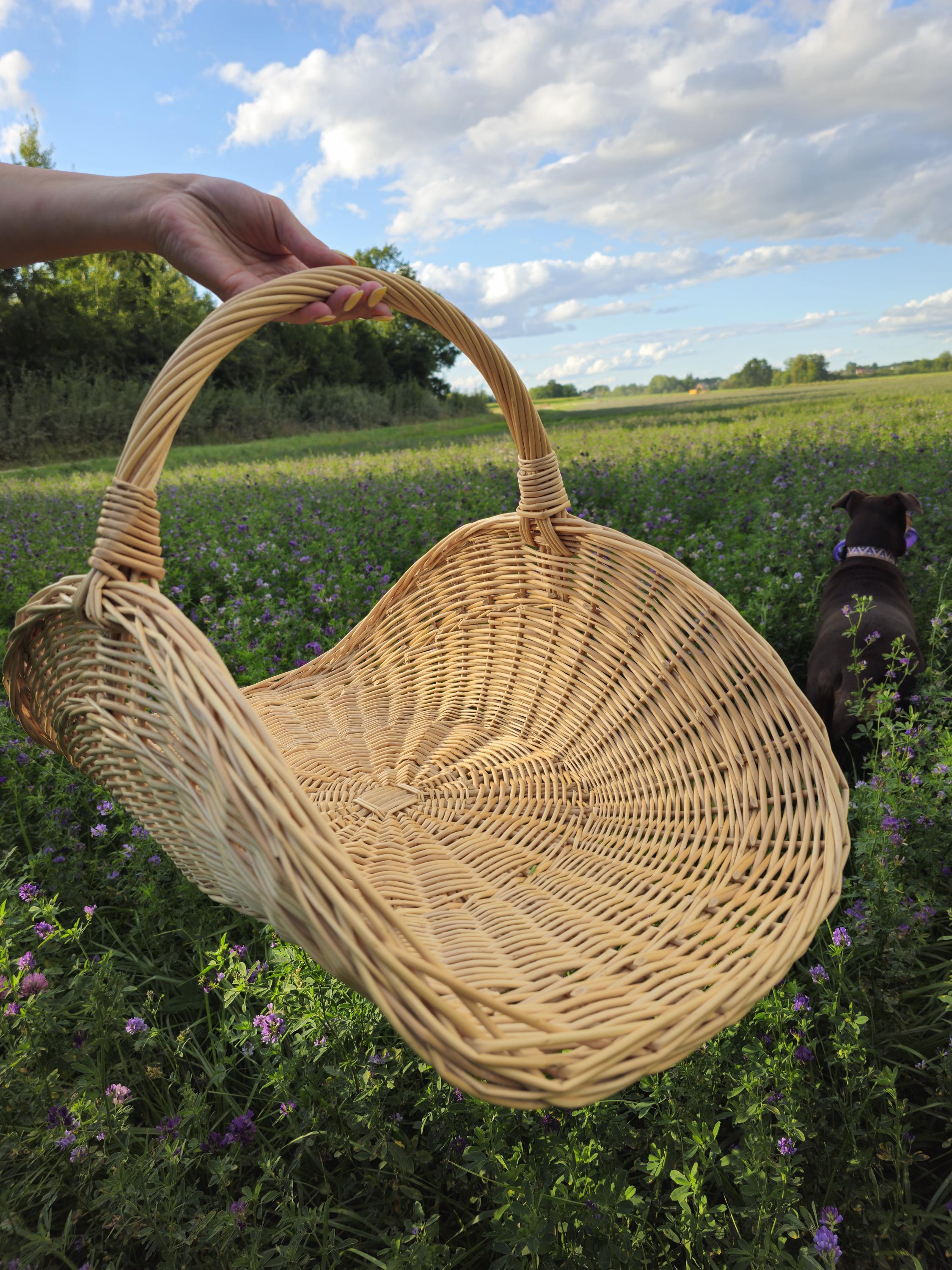 Cestini da parete in vimini, da appendere, in rattan, marrone, porta d'ingresso e cucina, contenitore decorativo per frutta e verdura per casa