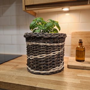May include: A cylindrical woven basket planter featuring a dark brown and light cream-coloured wicker pattern. The basket contains a green basil plant with multiple leaves. The structure is made of interlaced natural fibres with a braided rim.