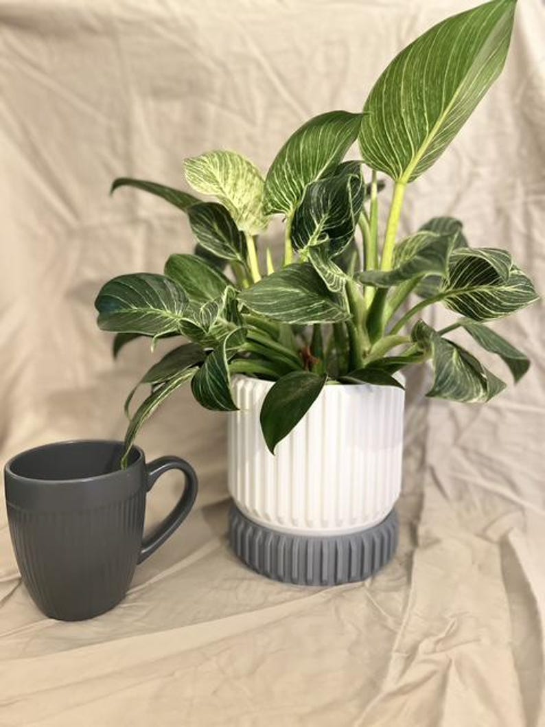 Textured Ribbed Ceramic Pot Ribbed 3D Printed Planter | Modern Textured Plant Pot - Etsy