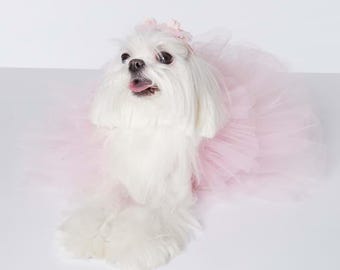 Blossom Pink One Shoulder Dog Dress, Couture Princess Puppy Gown, Satin Floral Accents