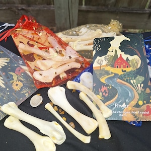 May include: An assortment of animal bones, some in red mesh bags with gold star accents, and a card with a house by a river. The card reads "River, the changes, don't resist them."
