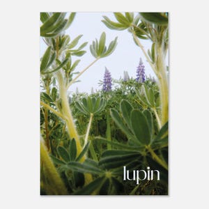 Lupin - Poster